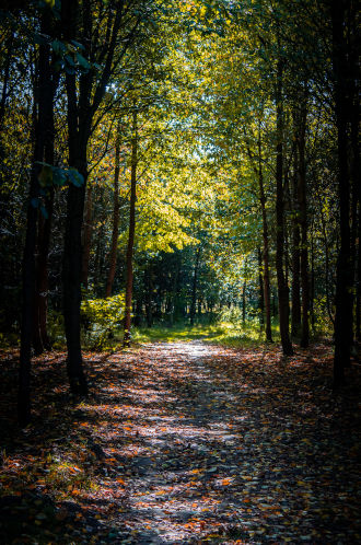 https://gaithouseevents.com/wp-content/uploads/2019/11/trail_main.jpg